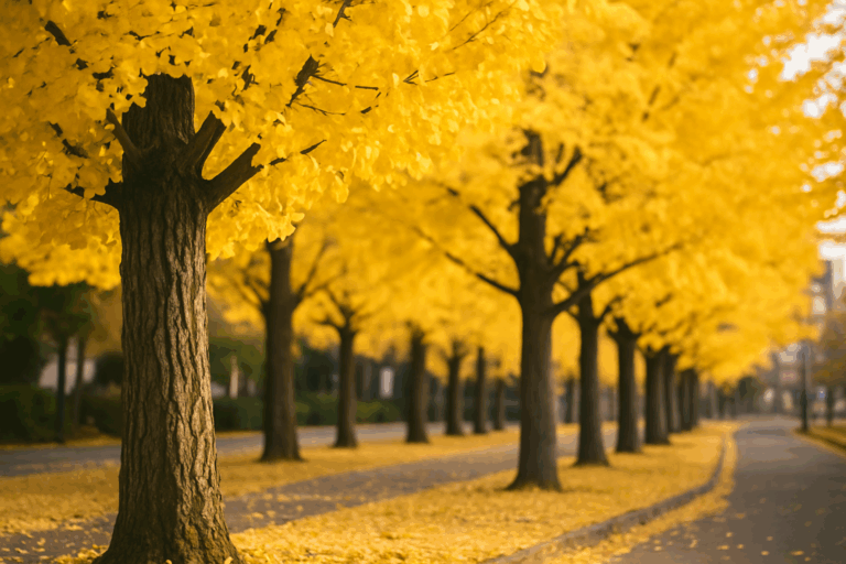 2025年11月25日(火)　生きている化石